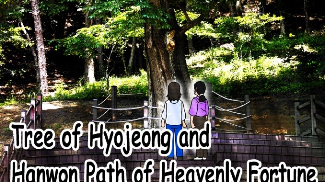 EP.03 Tree of Hyojeong and Hanwon Path of Heavenly Fortune