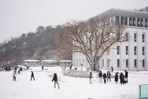 A lively training center after the snow /2023.01.07