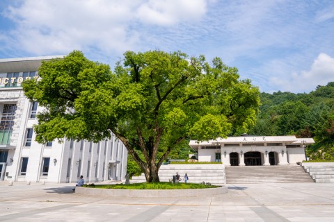 summer Landscape Photos in HJ Heaven and Earth CheonBo Training Center…